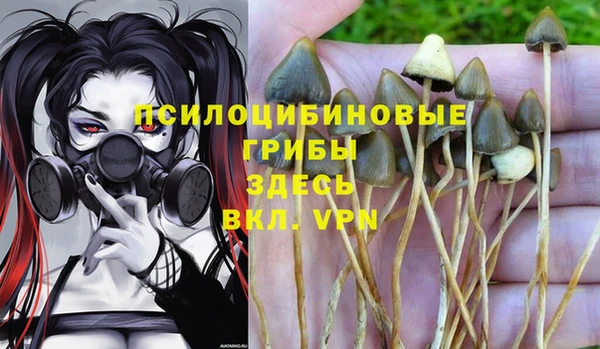 ALPHA PVP Алзамай