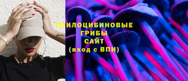 a pvp Алексин